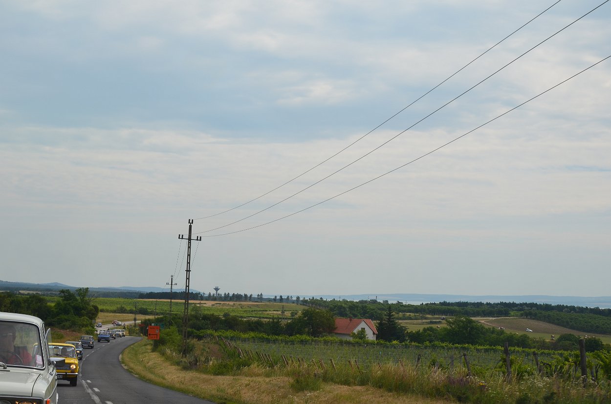 DSC 1346