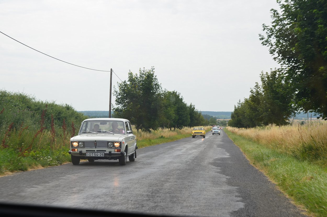 DSC 1354