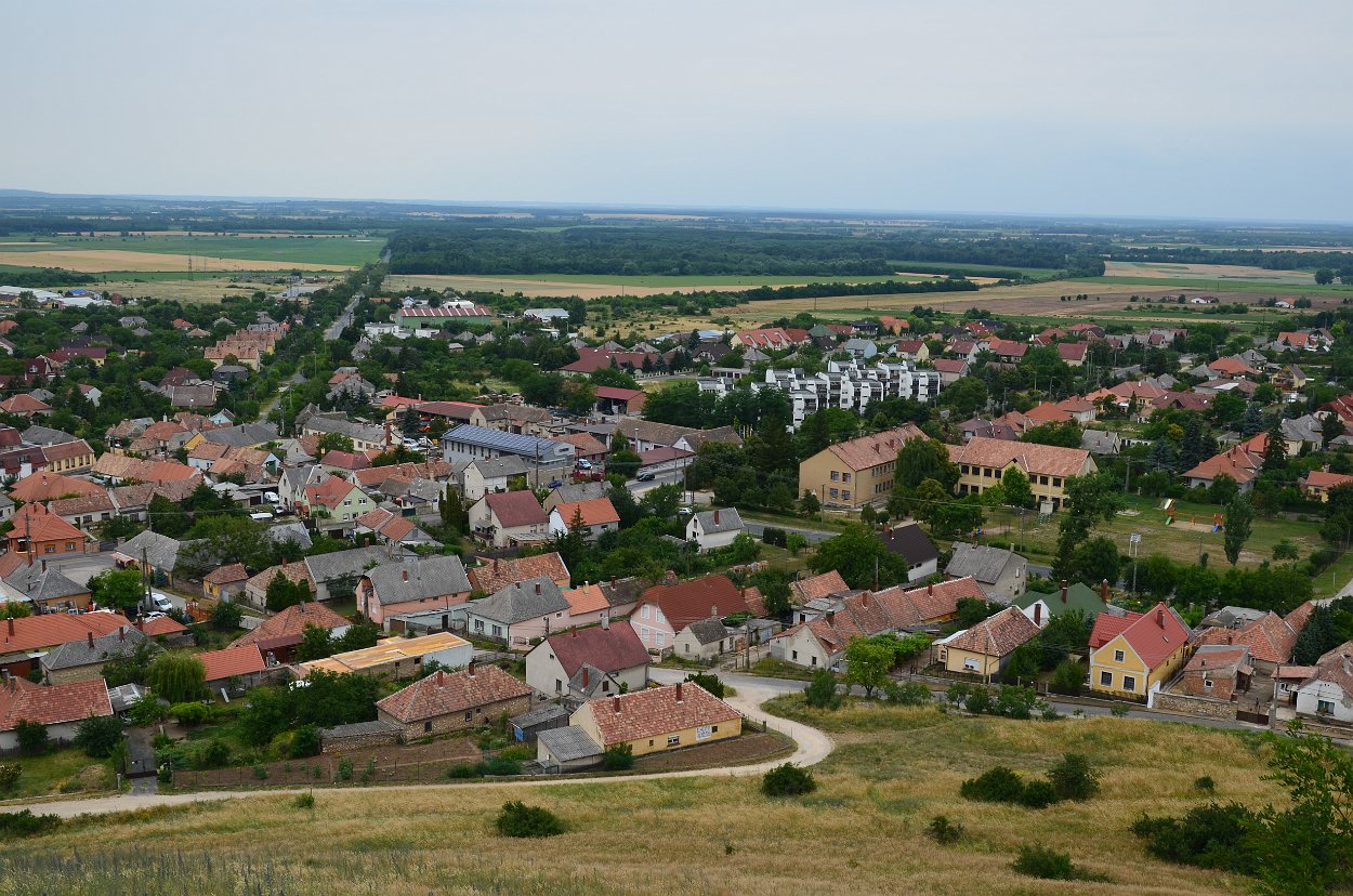 DSC 1463