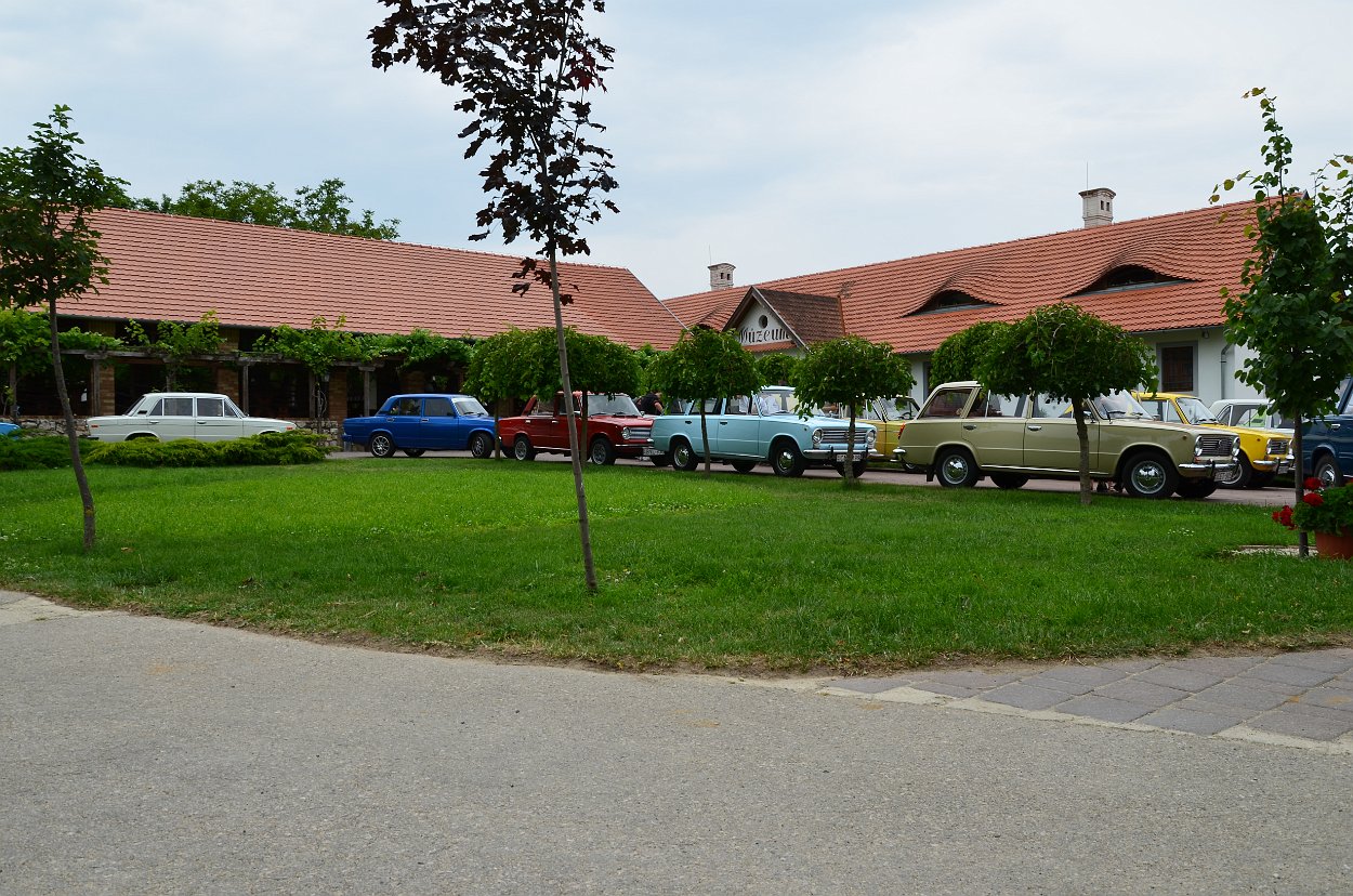DSC 1528